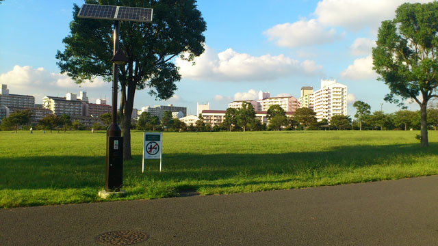 大島小松川公園の広場