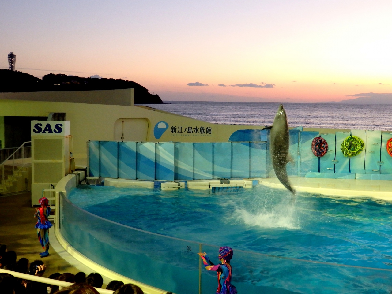 新江の島水族館