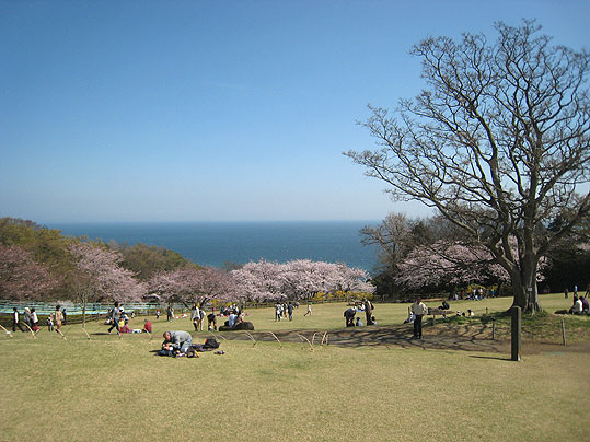 二宮町吾妻山公園