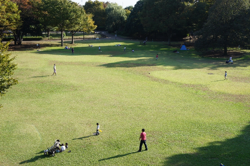 神奈川県立相模原公園