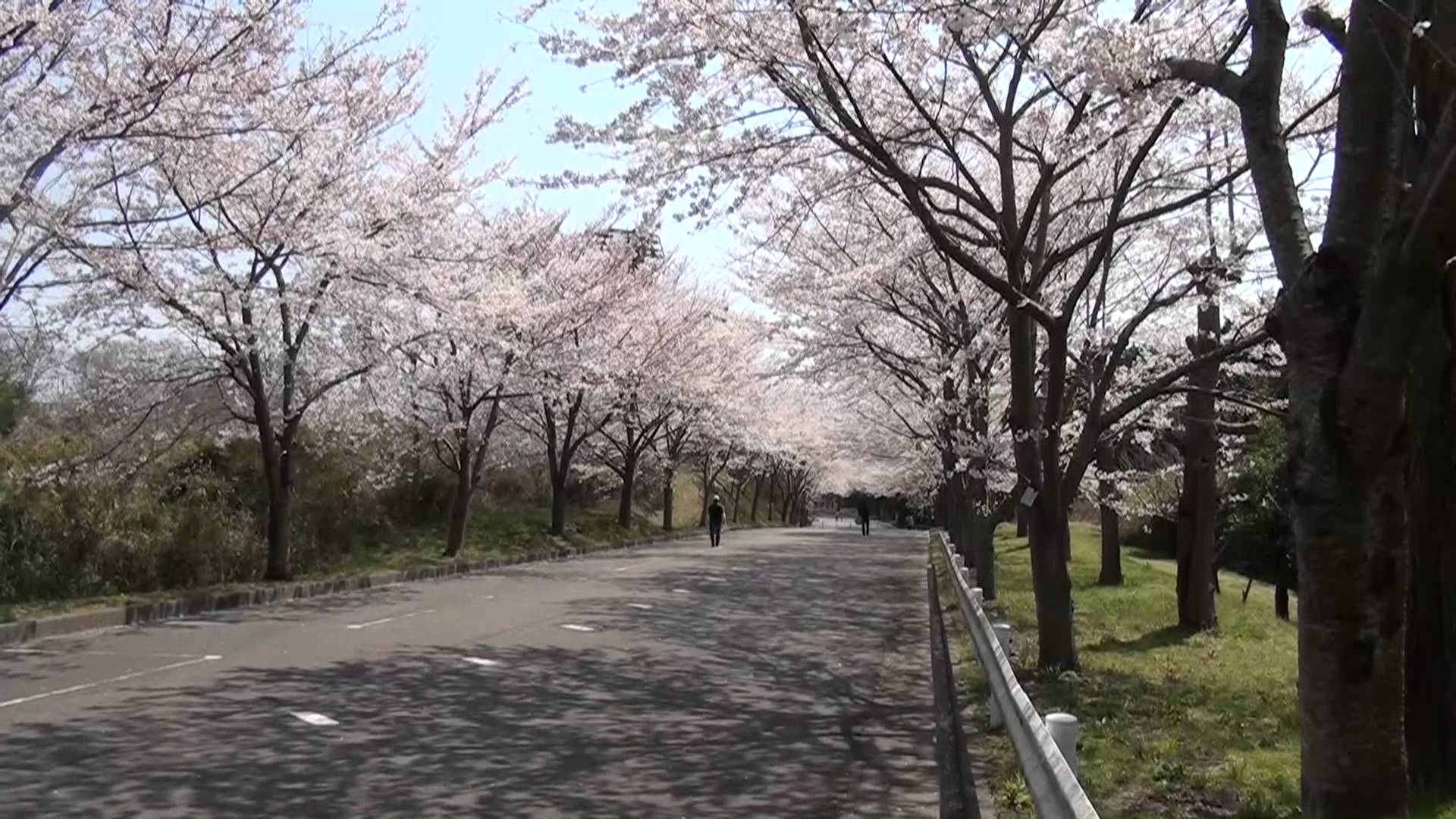 愛鷹広域公園