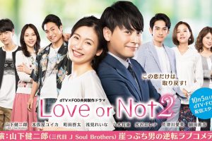 Love or Not2