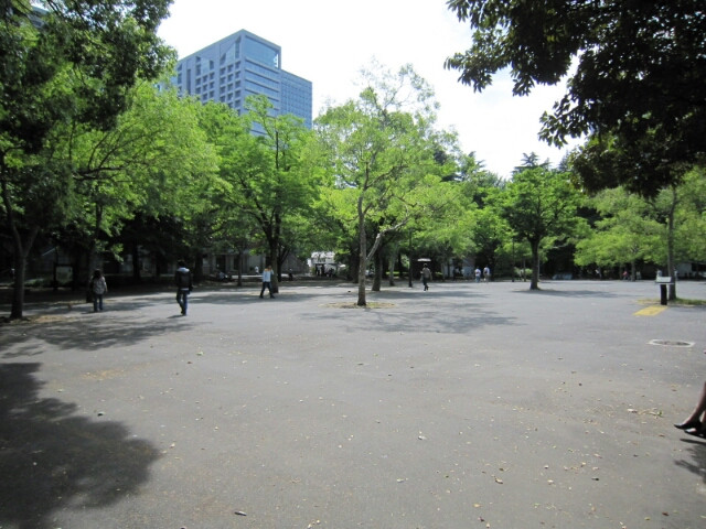 にれの木広場